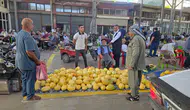 Çermik sakinleri taze ürünleri doğrudan üreticiden alıyor
