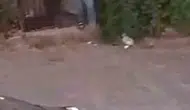 Şanlıurfa'da husumetli ailelerin silahlı çatışmasında üç kişi hastanelik oldu