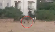 İpinden kurtulan inek sahibini yere devirdi, kovalamaca kamerada