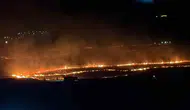 Bitlis’te piknik ateşi 300 dönümlük alanı kül etti