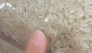 Elazığ’da marketten alınan pirinç paketinden böcekler çıktı