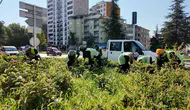 Harput Yolu ve Elazığ Parkları Yeni Bir Görünüme Kavuştu