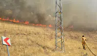 Silvan'da örtü yangını ekiplerin müdahalesiyle söndürüldü