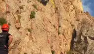 Faraşin Yaylası’nda sarp kayalıklarda mahsur kalan keçiler AFAD ekipleriyle kurtarıldı