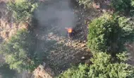 Diyarbakır kırsalında dev narkotik operasyonuyla binlerce kök kenevir imha edildi