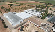 Şanlıurfa kendi çiçeklerini üreterek parklarını süsleyecek