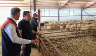 Tunceli’de kırsal kalkınma destekleri üreticiye güç veriyor