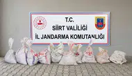 Siirt'te 300 kilo fıstık çalan hırsızlar fabrikada suçüstü yakalandı