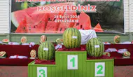 Diyarbakır'da 16. Geleneksel Karpuz Festivali'nde dev karpuzlar yarıştı