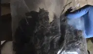 Bingöl polisi bir haftalık operasyonla suçlulara göz açtırmadı