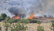 Siirt Eruh'ta çıkan orman yangını uzun uğraşlar sonucu söndürüldü