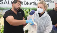 Elazığ'da kuş gribi salgınına karşı kapsamlı saha tatbikatı yapıldı