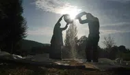 Muş Alaniçi köyünde mısır hasadı geleneksel yöntemlerle yapılıyor