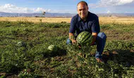 Ağrı tarlalarında hasat heyecanı başladı