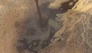 Diyarbakır Çermik ilçesinde geleneksel pestil mesaisi başladı