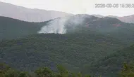 Bingöl Genç ilçesindeki orman yangını ekiplerin müdahalesiyle söndürüldü