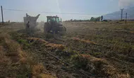Adilcevaz ovasında fasulye hasadı bereketi yaşanıyor