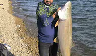 Keban Baraj Gölü’nde 30 kiloluk dev turna balığı