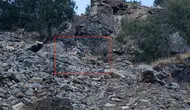 Diyarbakır Çüngüş kırsalında nesli koruma altındaki dağ keçileri görüntülendi