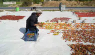 Muşlu çiftçi tarlasında yetiştirdiği sebzeleri Avrupa ülkelerine kadar ulaştırıyor