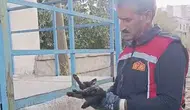 Yüksekova'da aracın motoruna sıkışan kedi iki saatlik çabayla kurtarıldı