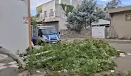 Siverek'te aniden çıkan fırtına tarım işçilerine zor anlar yaşattı