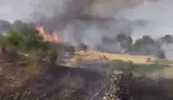 Çüngüş ilçesinde çıkan yangın üzüm bağlarını küle çevirdi