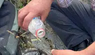 Elazığ'da yangından kaçan kaplumbağaya vatandaşlar sahip çıktı