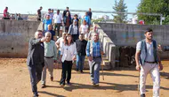 Diyarbakır Hayvan Borsası için kış öncesi acil önlem kararı alındı