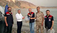 Mardin Ilısu Barajı'nda balık popülasyonunu artırmak için dev adım atıldı
