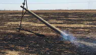 Anız yangınları hem toprağı hem de enerji altyapısını yakıp geçiyor