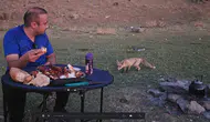 Bitlis'te piknik sofrasına gelen davetsiz misafir herkesi şaşırttı