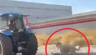 Diyarbakır'da traktöre bağlanan köpeğin zor anları kameraya yansıdı