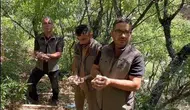 Tunceli'de endemik dağ sarımsağını izinsiz toplayanlara 2 milyon lira ceza