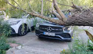 Keban'da şiddetli fırtına ağacı park halindeki araçların üzerine devirdi
