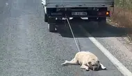 Şanlıurfa'da kamyonet arkasında köpeği sürükleyen sürücüye tepki yağdı