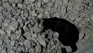 Van Gölü kıyısında kedi ve farenin şaşırtan oyun arkadaşlığı