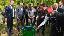 Adilcevaz cevizinde hasat dönemi Vali Karakaya ile başladı