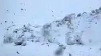 Hakkari’nin zirvelerinde bahar ayı karla kaplandı