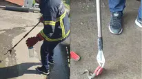 Hakkari’de otomobil motoruna gizlenen yılan itfaiye yardımıyla kurtarıldı