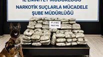 Yüksekova polisinden uyuşturucu operasyonu ile büyük miktarda skunk yakalaması