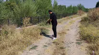 Esnaf trafikteki kaplumbağayı ezilmekten son anda kurtardı