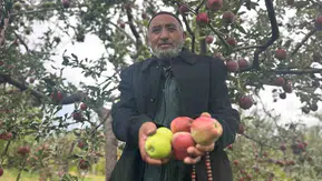 Van'da bir ağaçta hem kırmızı hem yeşil elma