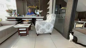 Batman'da bir matbaa kapılarını sokak kedilerine açarak yuva oldu
