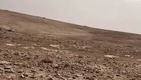 Mardin’de yasa dışı keklik avına 129 bin 429 lira ceza