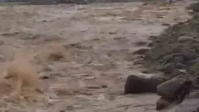 Diyarbakır Çermik'te şiddetli yağışlar menfezleri yıktı