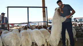 Kızıltepe hayvan pazarında bayram mesaisi durgun geçti