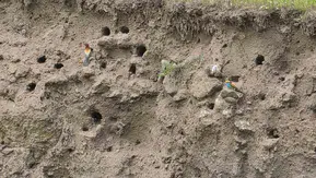 Bitlis’in gökyüzü renkli misafirlerini ağırlıyor