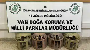 Van'da kaçak keklik avlayan sürücüye ağır fatura