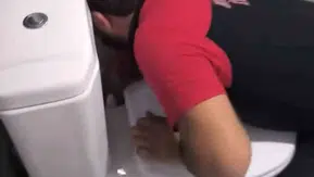Siirt'te lavabo borusuna giren iki yavru kediyi itfaiye kurtardı